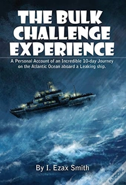 Capa do artigo The Bulk Challenge Experience: A Persona