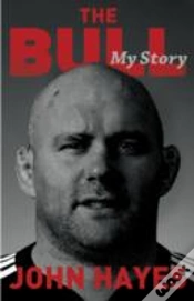 Capa do artigo The Bull