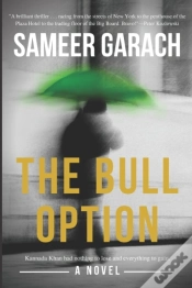 Capa do artigo The Bull Option