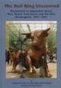 The Bull Ring Uncovered - Preview