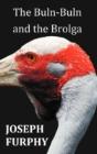 The Buln-Buln And The Brolga - Preview