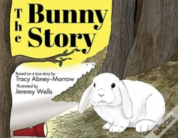 Capa do artigo The Bunny Story