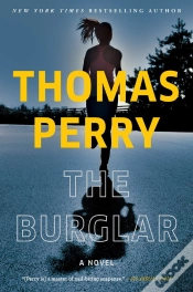 Capa do artigo The Burglar