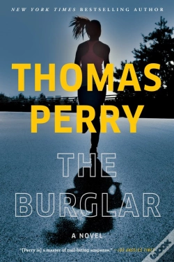 Capa do artigo The Burglar