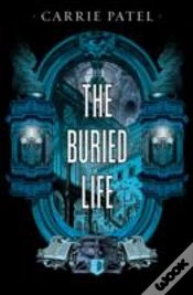 Capa do artigo The Buried Life