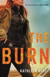 Capa do artigo The Burn