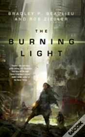 Capa do artigo The Burning Light