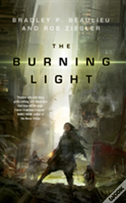 Capa do artigo The Burning Light
