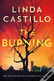 Capa do artigo The Burning