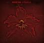 The Burning Red - Vinil - Preview