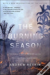 Capa do artigo The Burning Season