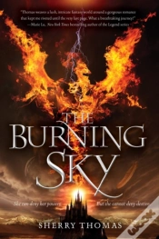 Capa do artigo The Burning Sky