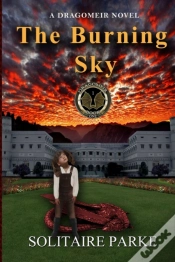 Capa do artigo The Burning Sky