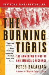 The Burning Tigris