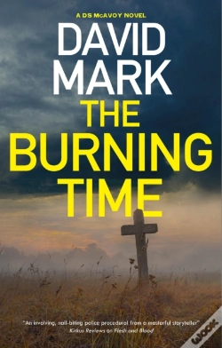 Capa do artigo The Burning Time