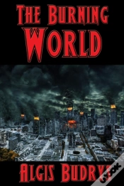 Capa do artigo The Burning World