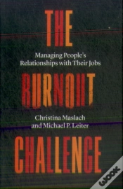 Capa do artigo The Burnout Challenge