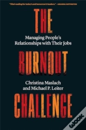 Capa do artigo The Burnout Challenge