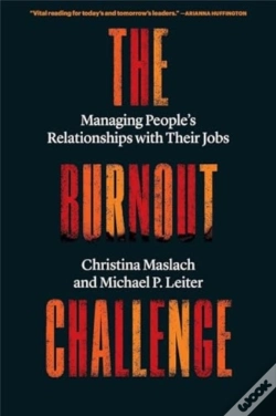 Capa do artigo The Burnout Challenge
