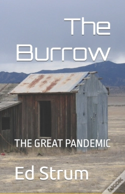 Capa do artigo The Burrow