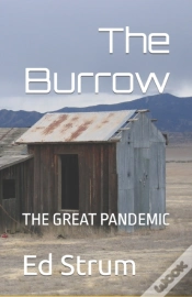 Capa do artigo The Burrow
