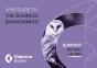 The Busines Environment Wiseguide - Preview