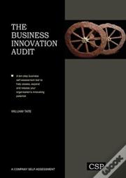The Business Innovation Audit
