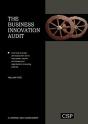 The Business Innovation Audit - Preview