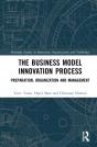 The Business Model Innovation Process - Preview