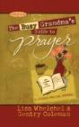 The Busy Grandma'S Guide To Prayer - Preview