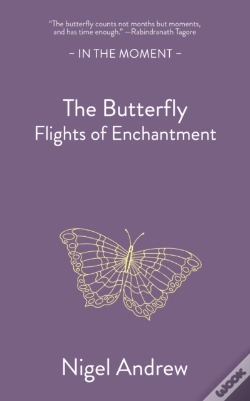 Capa do artigo The Butterfly