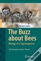 The Buzz About Bees