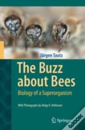 Capa do artigo The Buzz About Bees