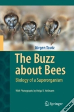 Capa do artigo The Buzz About Bees