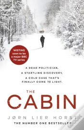 Capa do artigo The Cabin