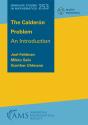 The Calderon Problem - Preview