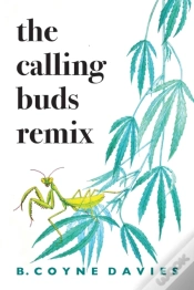Capa do artigo The Calling Buds Remix