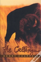 Capa do artigo The Callings