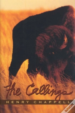 Capa do artigo The Callings