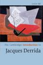The Cambridge Introduction To Jacques Derrida - Preview