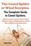 The Camel Spider Or Wind Scorpion, The Complete Guide To Camel Spiders.