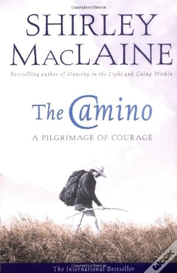 Capa do artigo The Camino