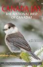 The Canada Jay - Preview