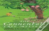 The Cannonball Tree Mystery