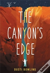 Capa do artigo The Canyon