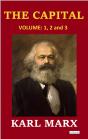 The Capital - Karl Marx - Preview