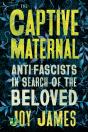 The Captive Maternal - Preview
