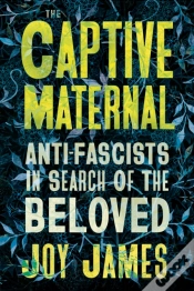 Capa do artigo The Captive Maternal