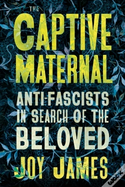 Capa do artigo The Captive Maternal