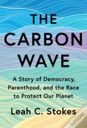 Capa do artigo The Carbon Wave